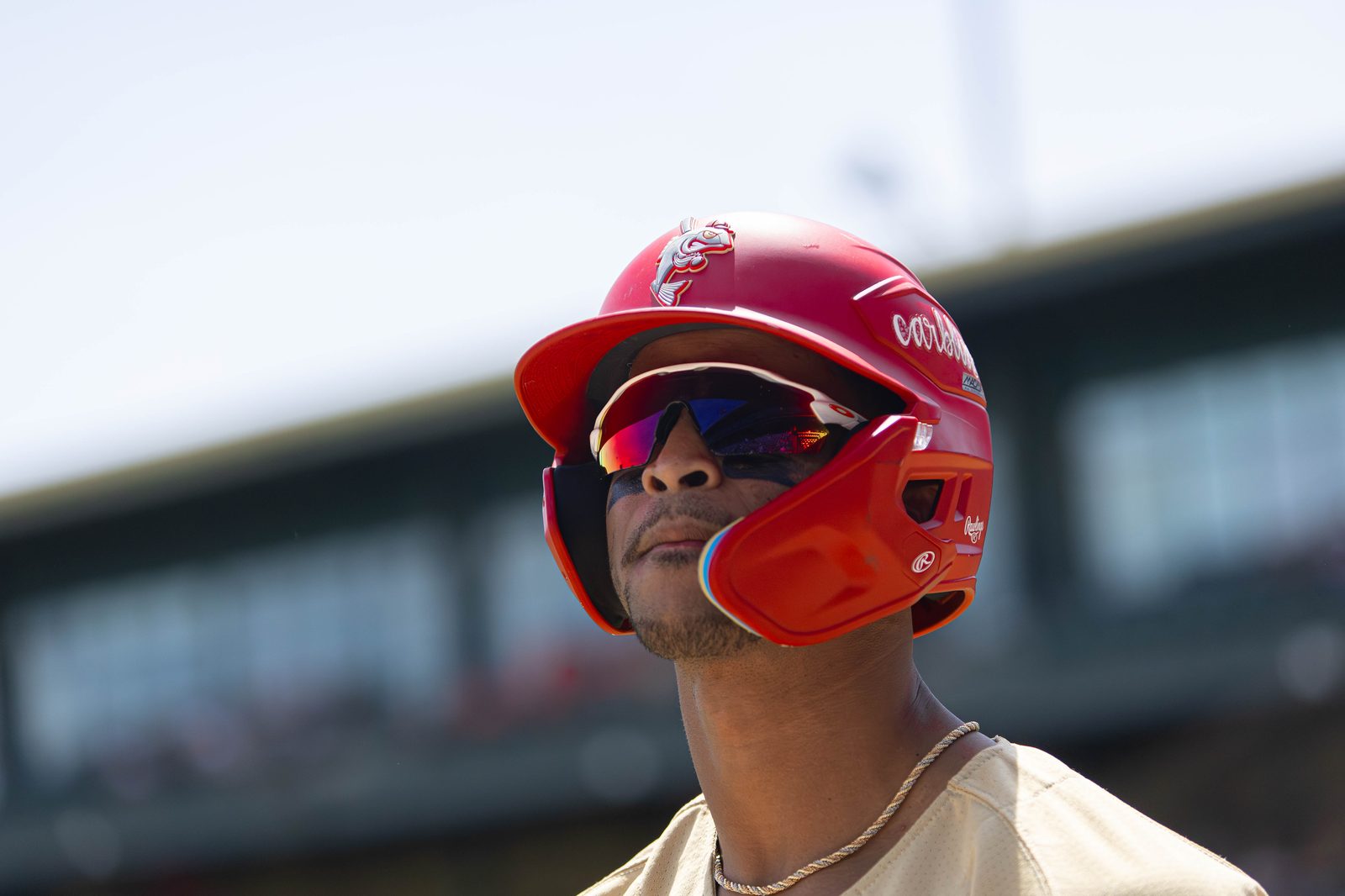 Baseball portrait photography