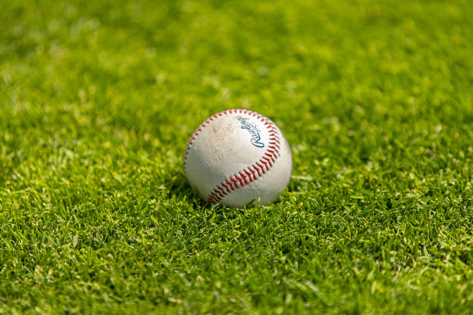 All Sports photo 23