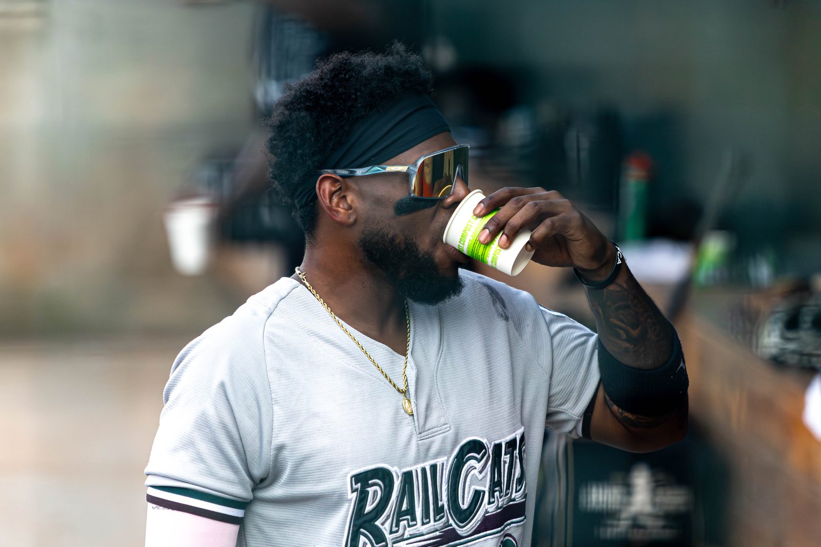 All Sports photo 52