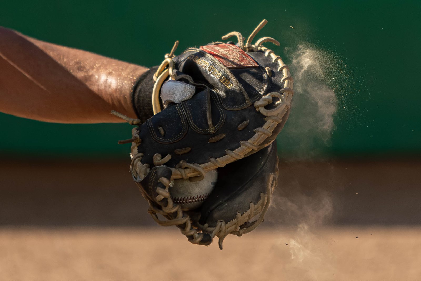 All Sports photo 37