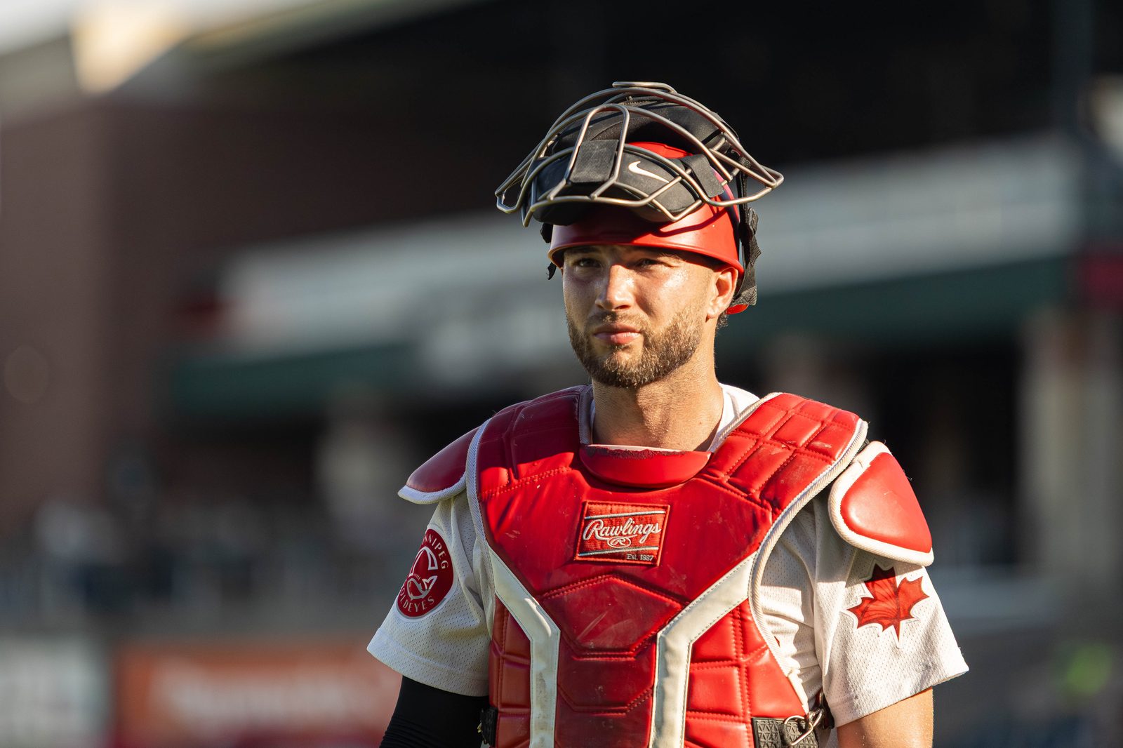 All Sports photo 20