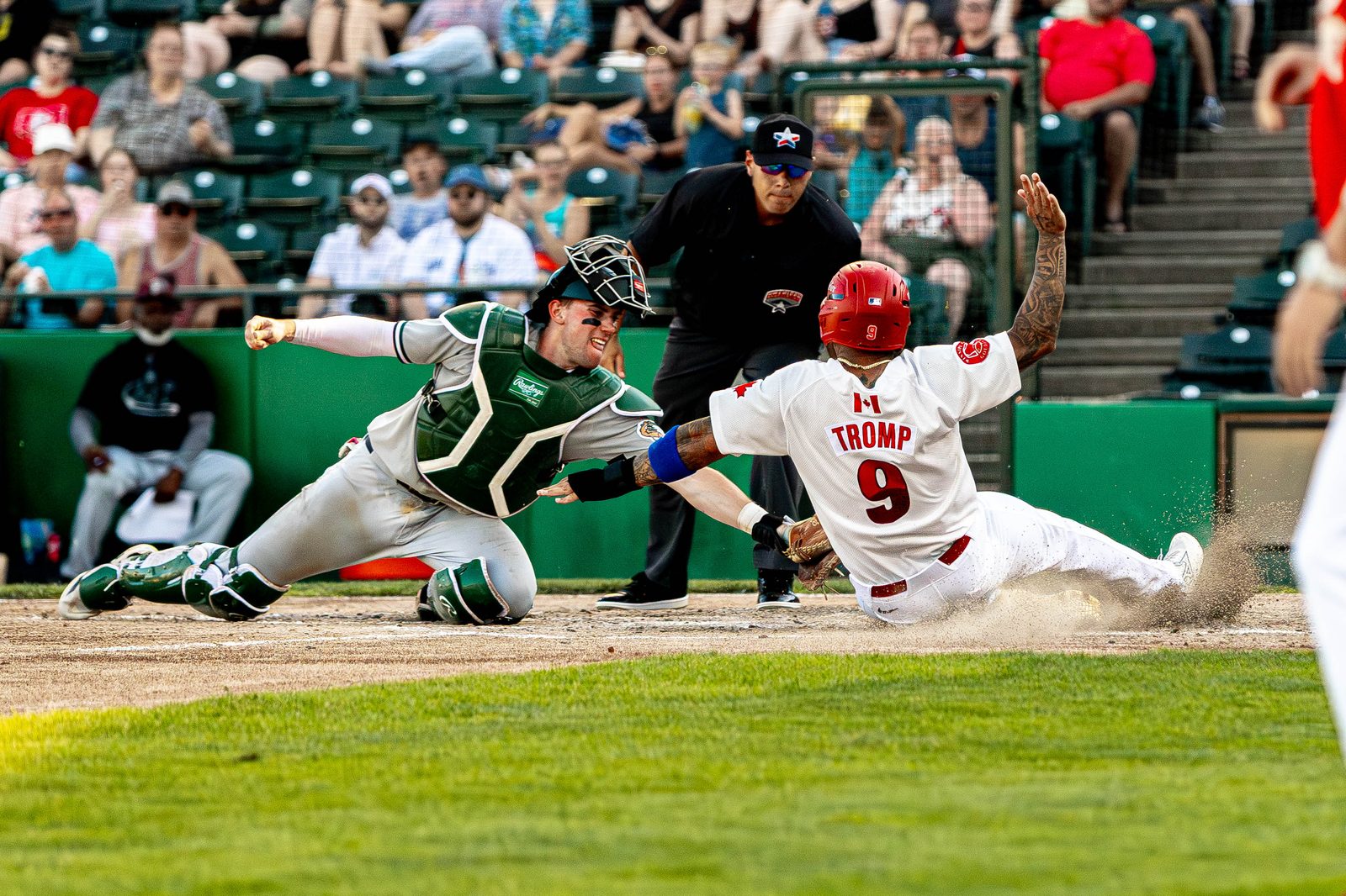 All Sports photo 31