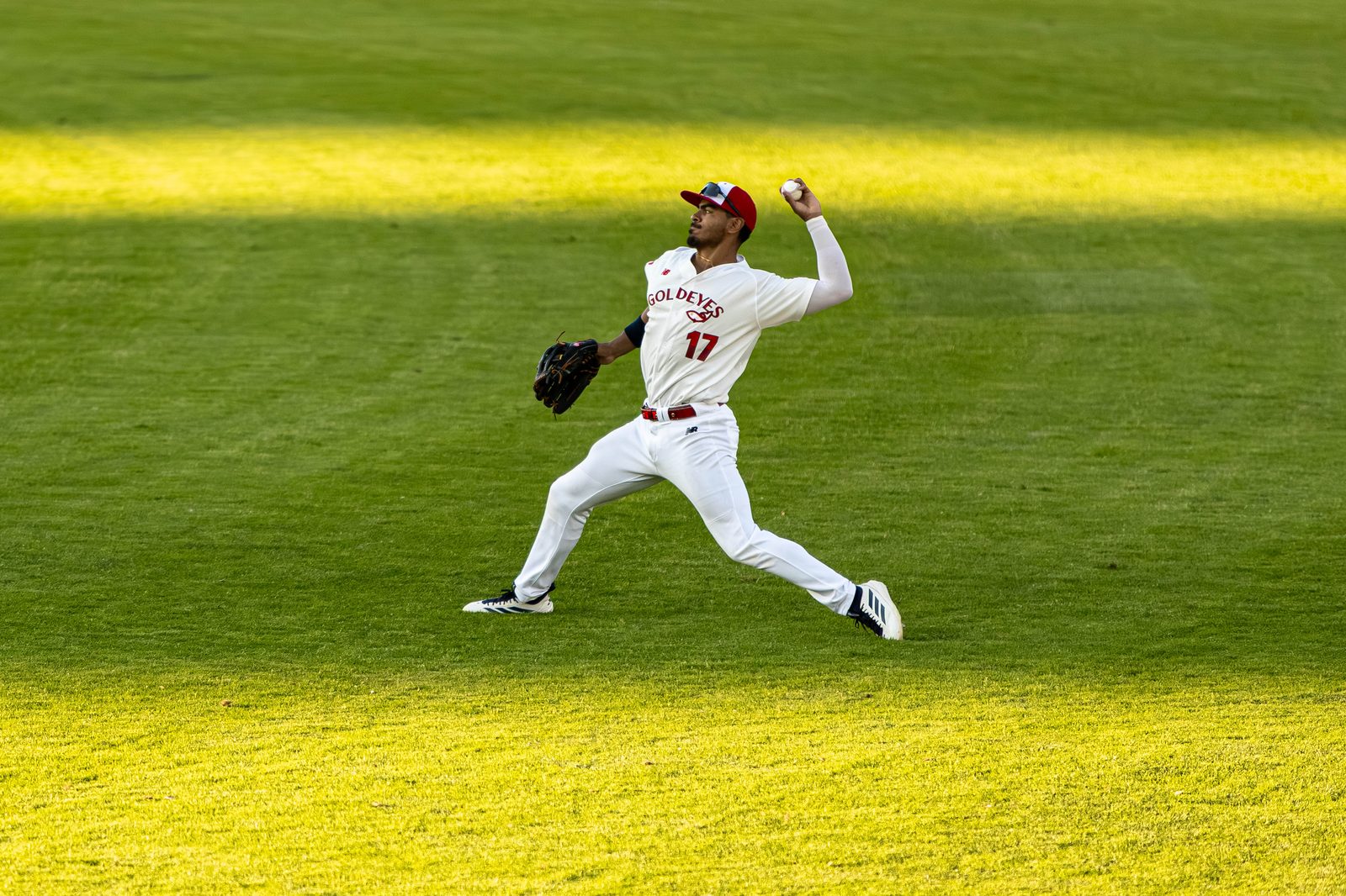 All Sports photo 10