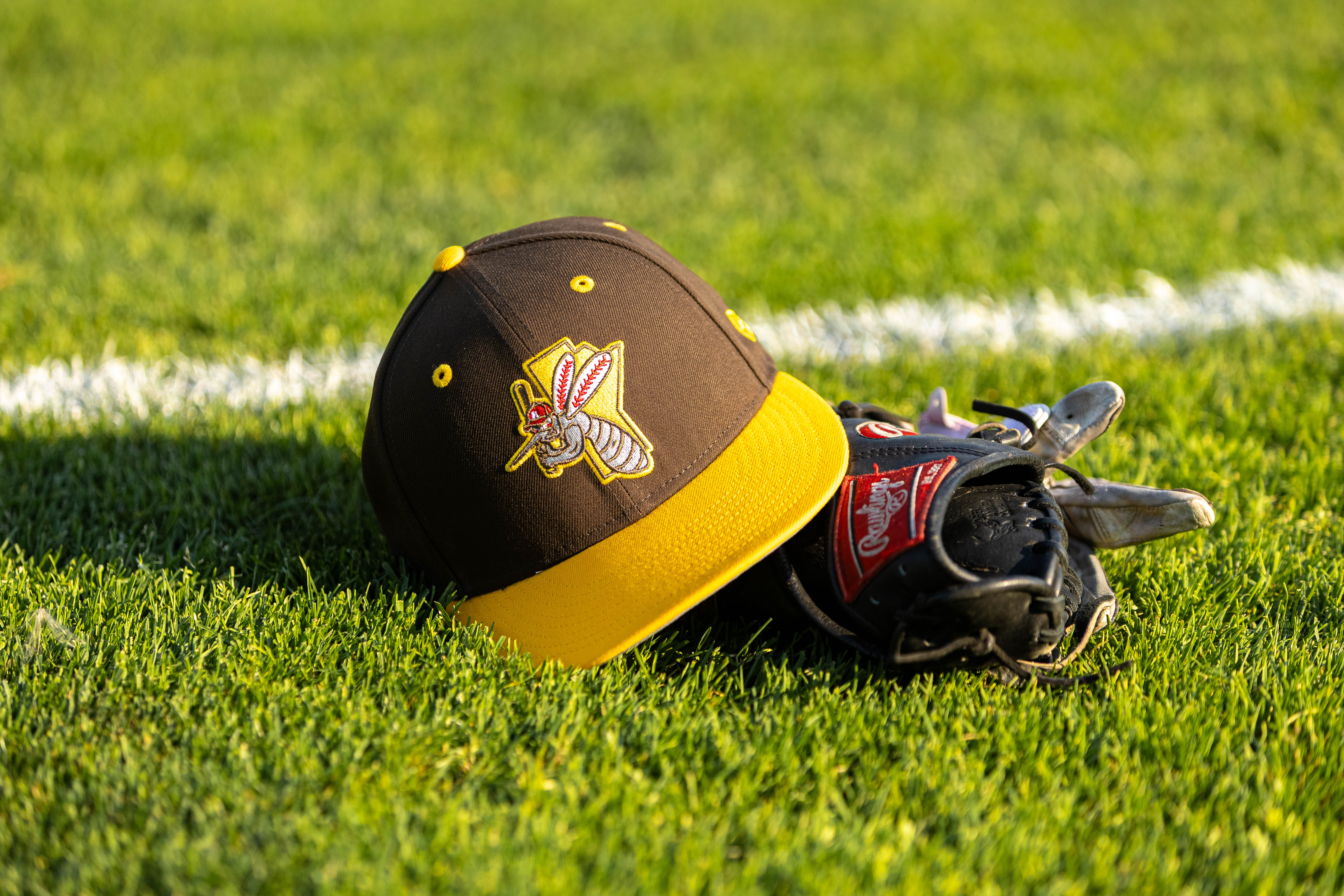 All Sports photo 3