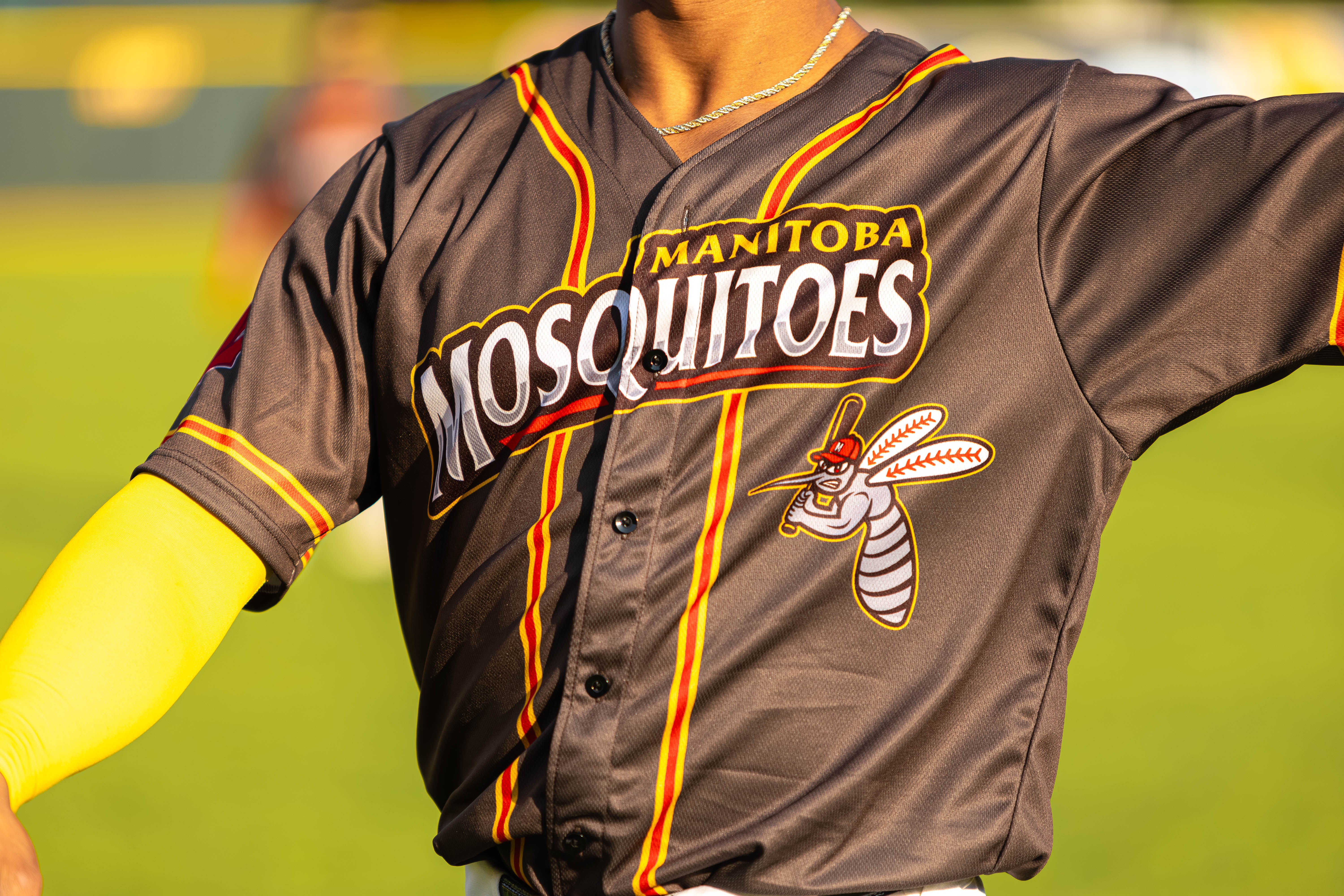 All Sports photo 7