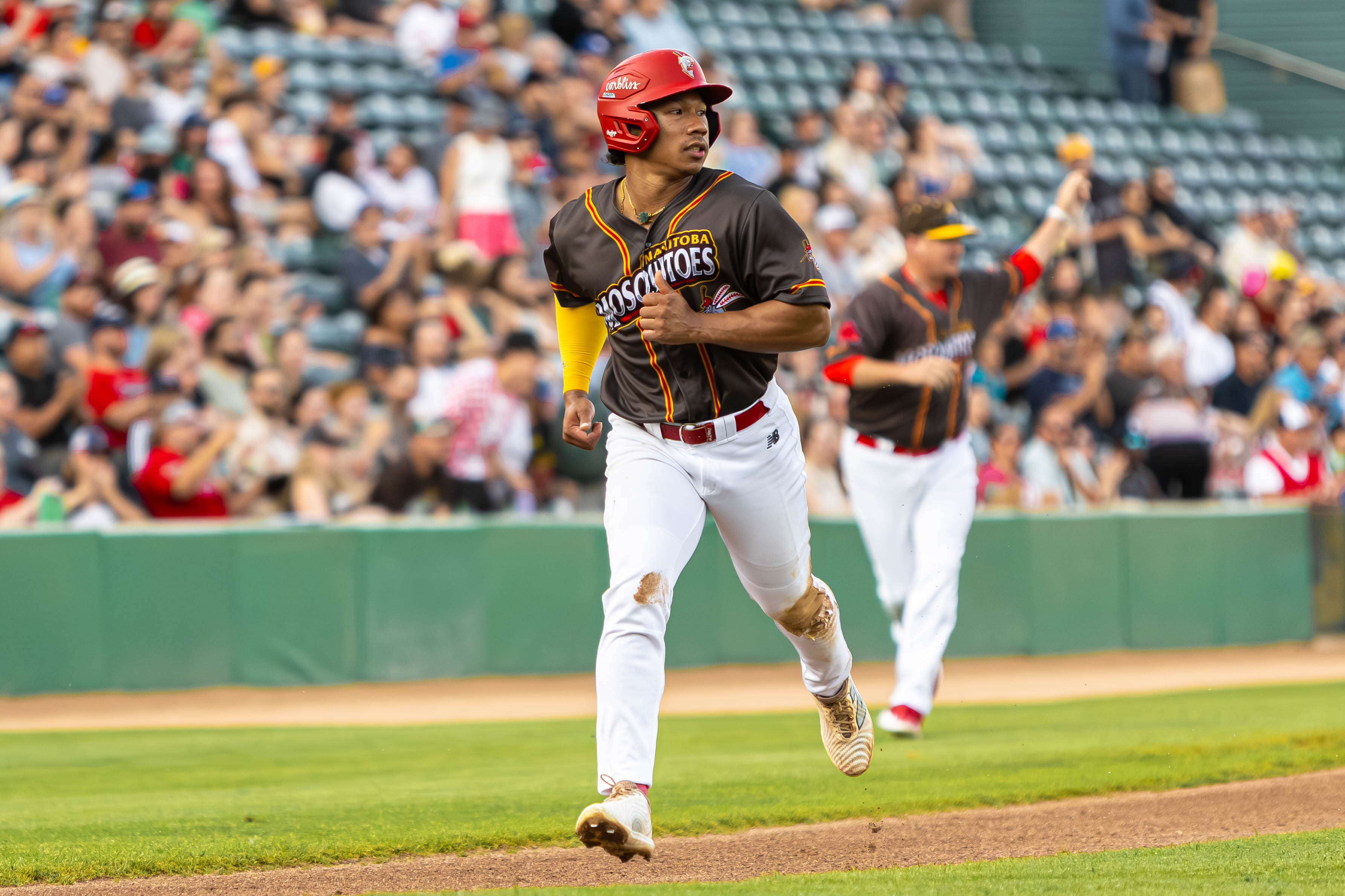 All Sports photo 26