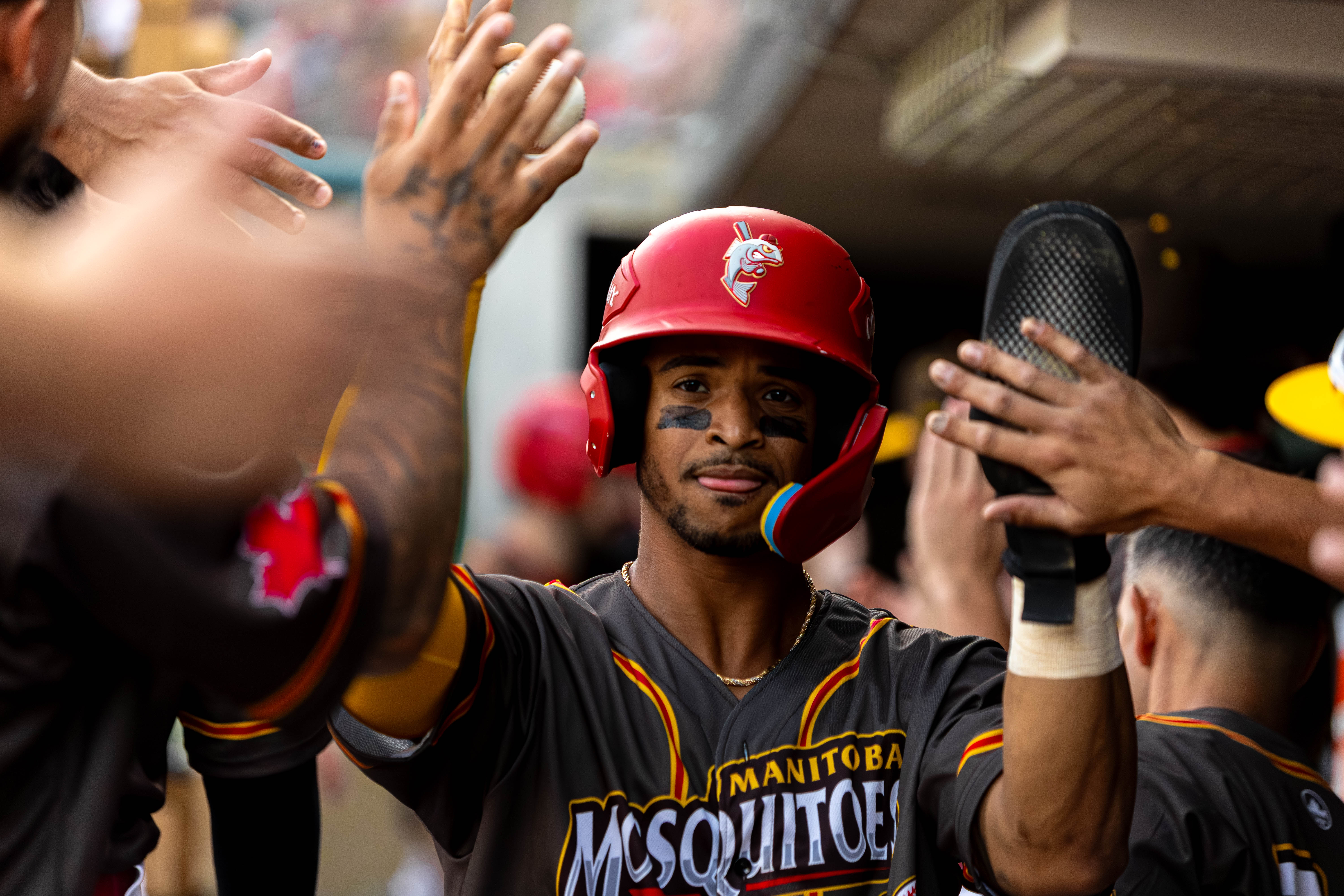 All Sports photo 30