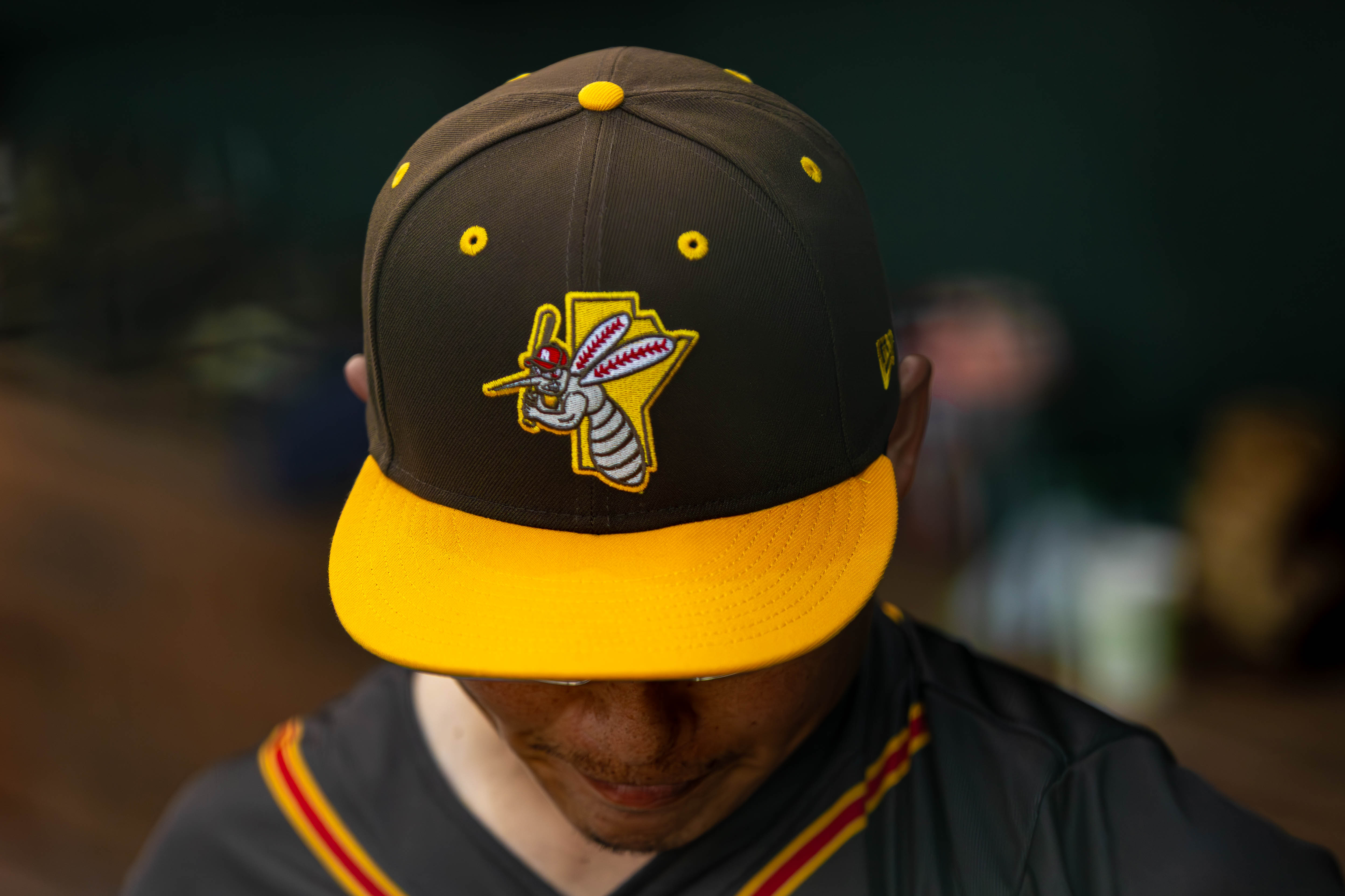 All Sports photo 32