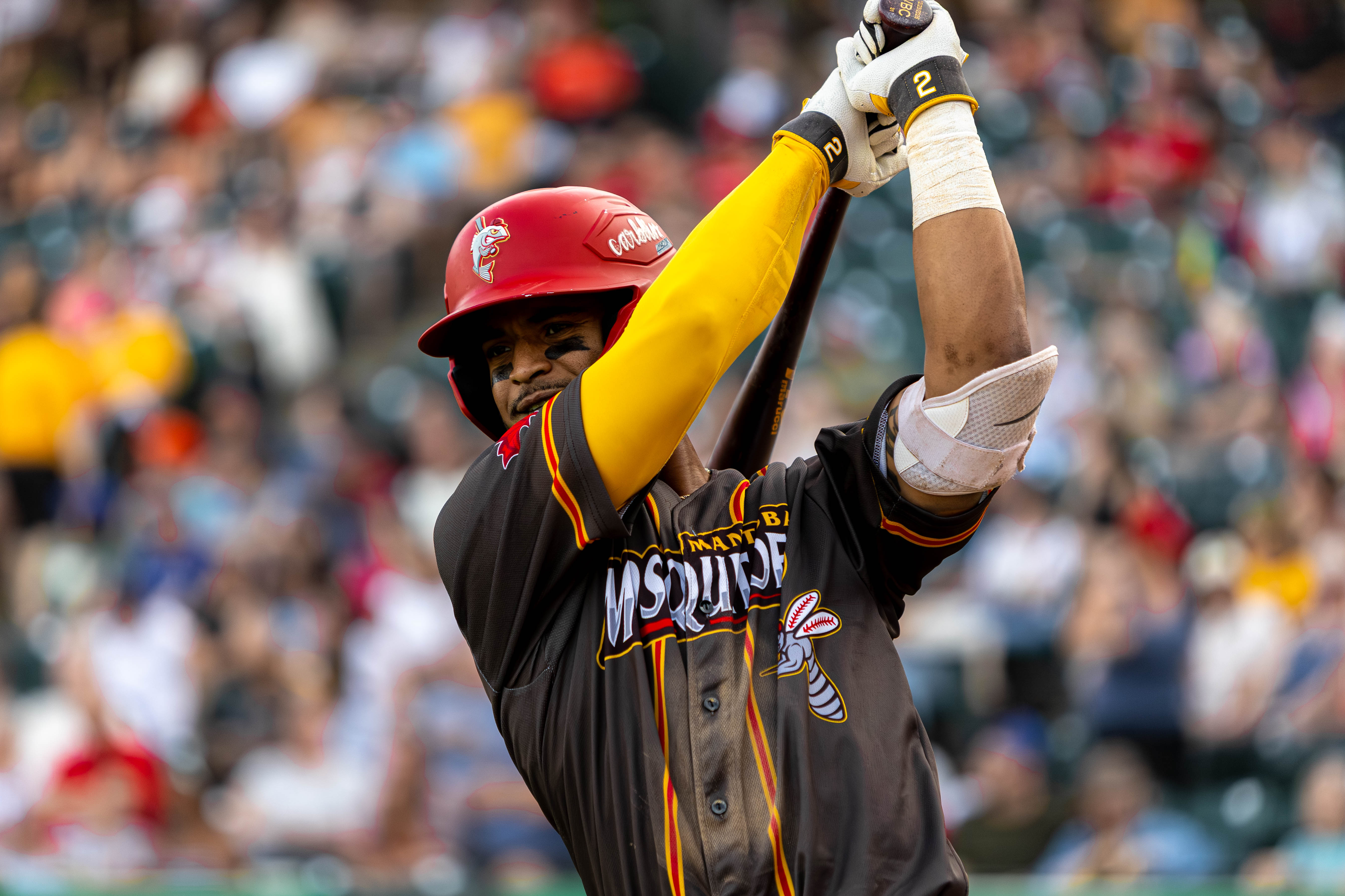 All Sports photo 40