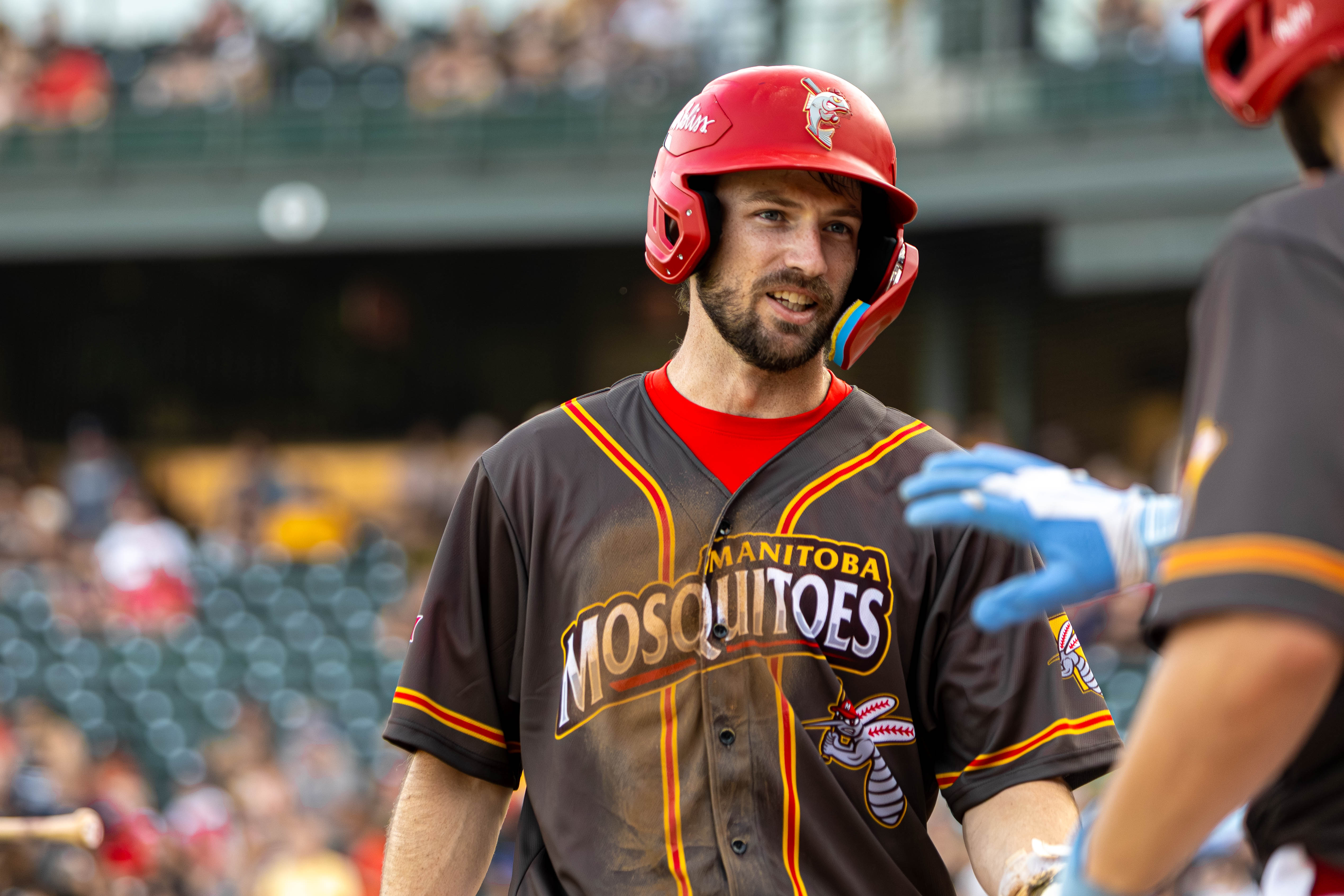 All Sports photo 43