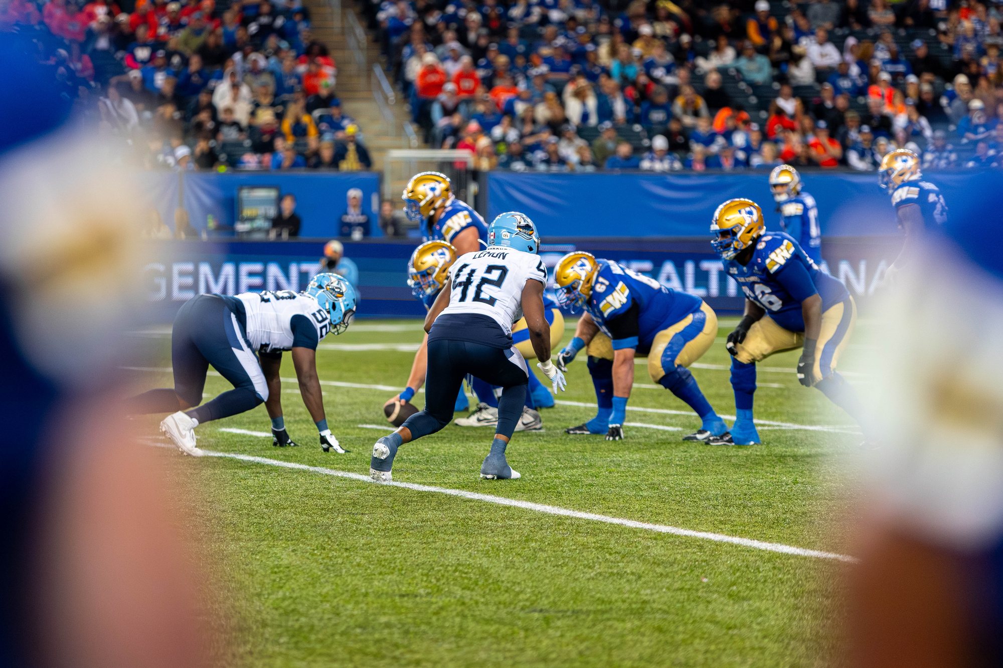 All Sports photo 1