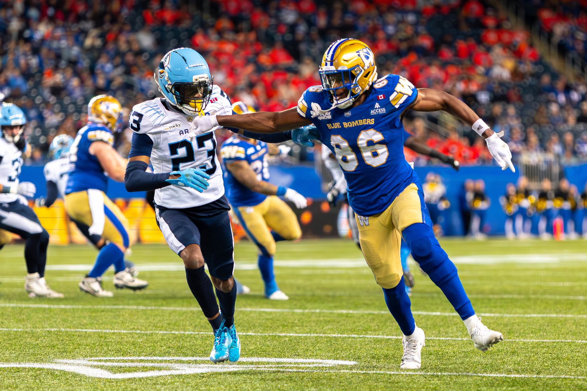 All Sports photo 8