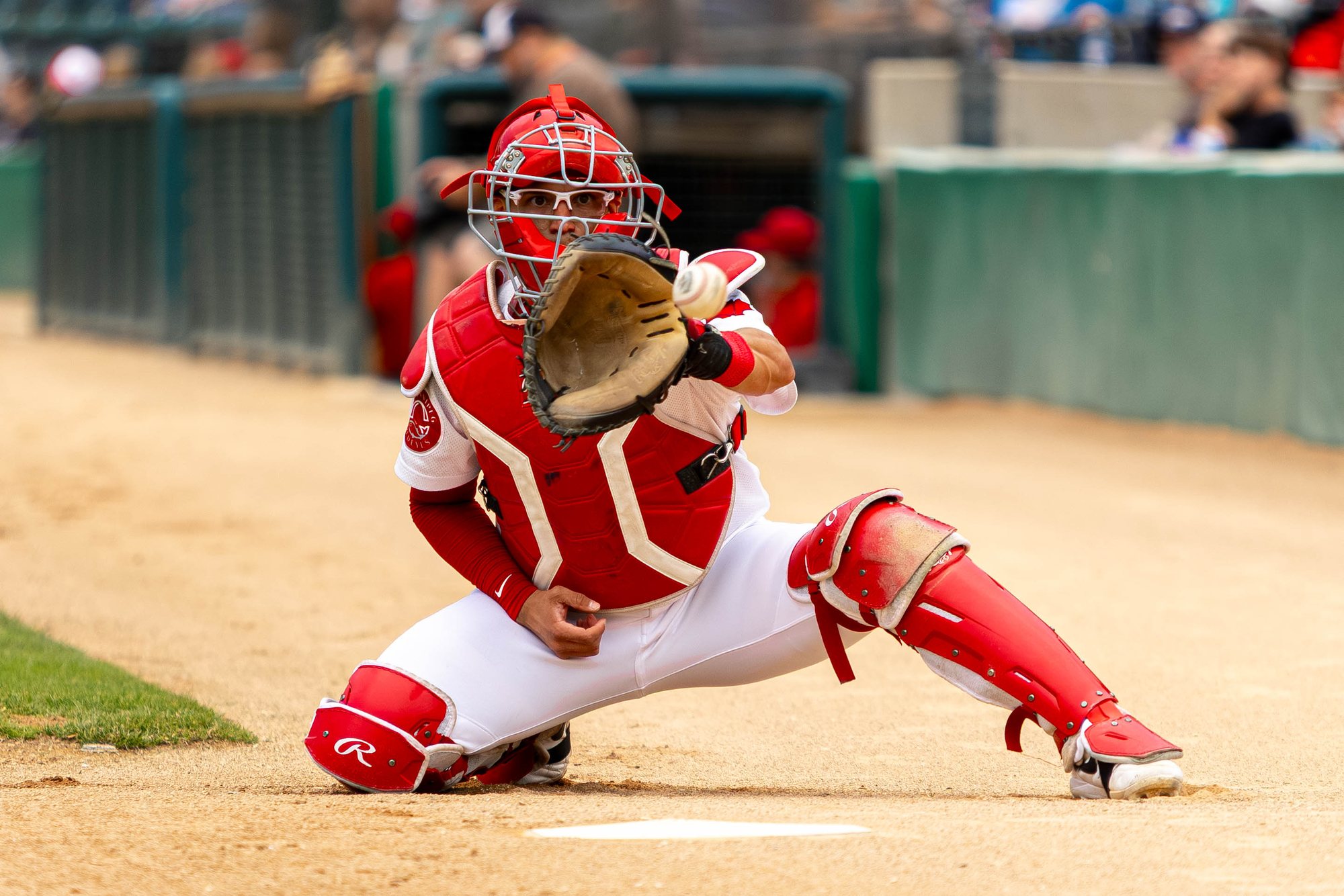 All Sports photo 22