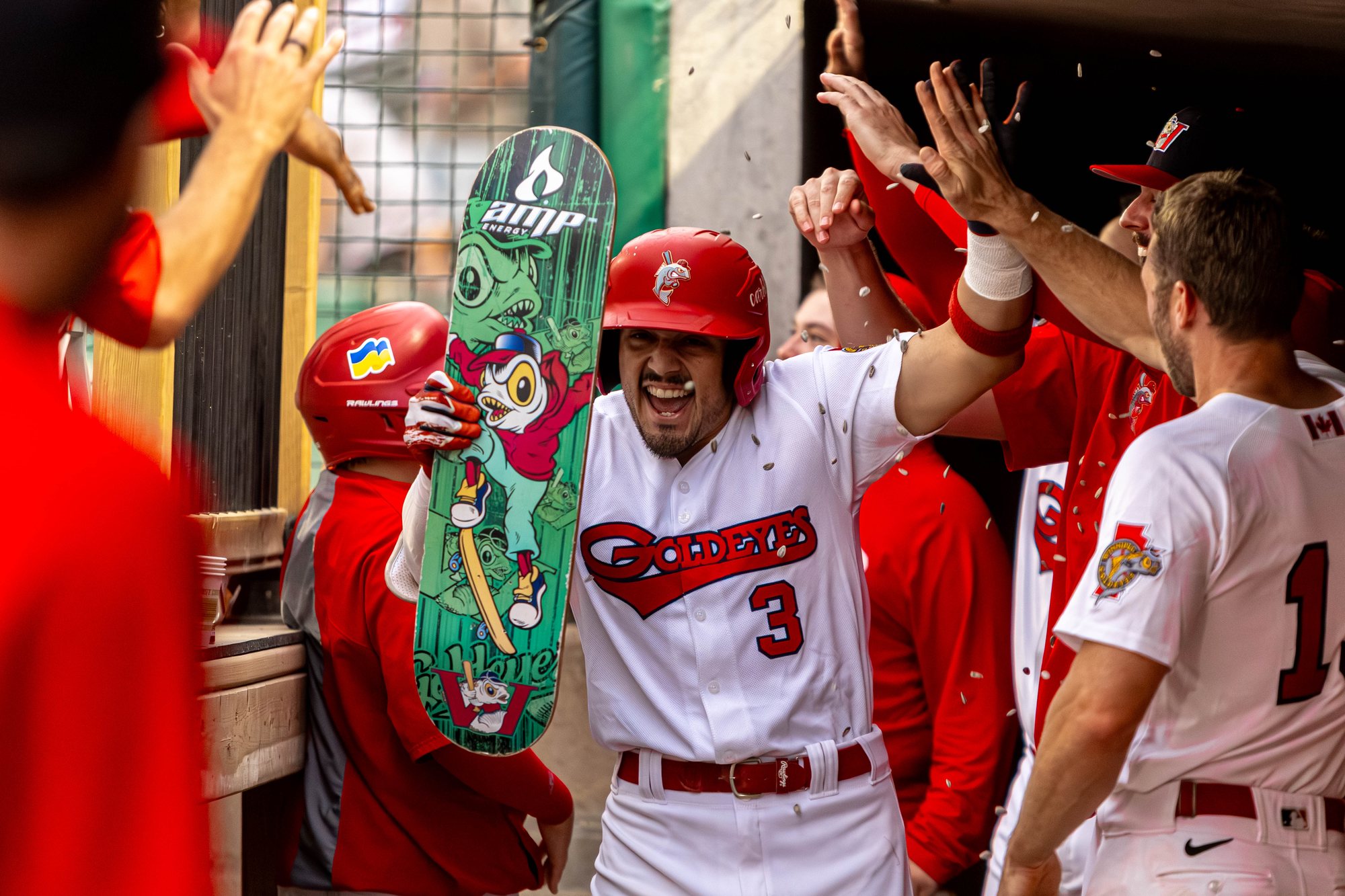 All Sports photo 30
