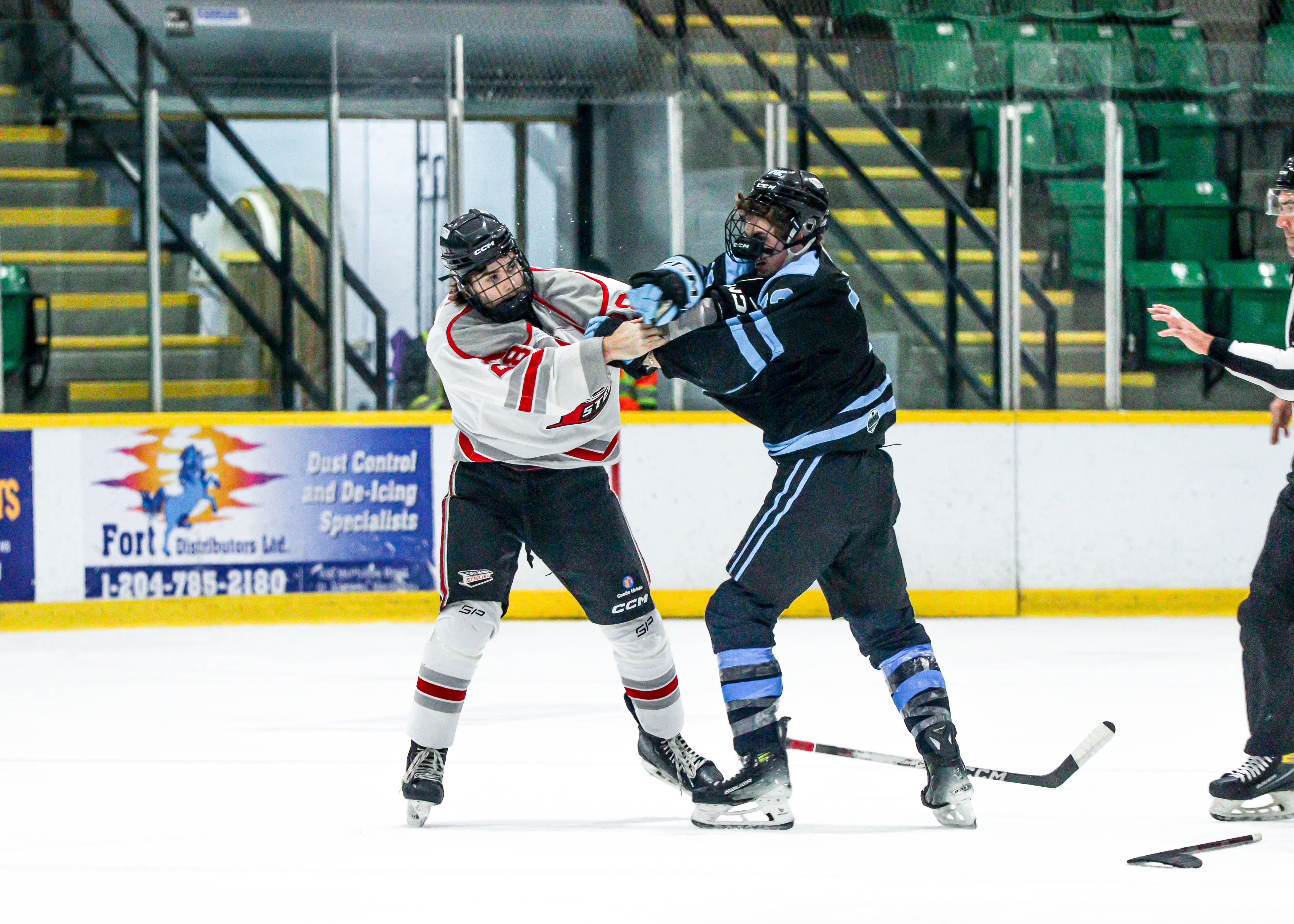 Hockey photo 38